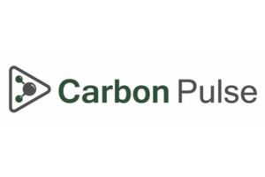 Carbon_Pulse.jpg